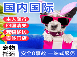 正定航空快运国际宠物托运 【国